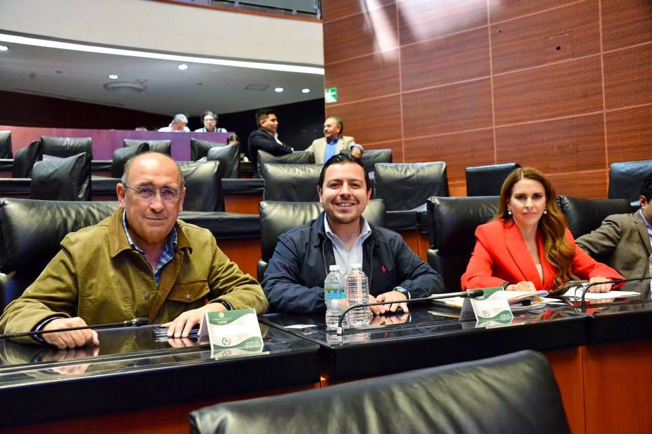 Cambios fiscales para 2027 podrían encarecer productos y servicios: Diputado