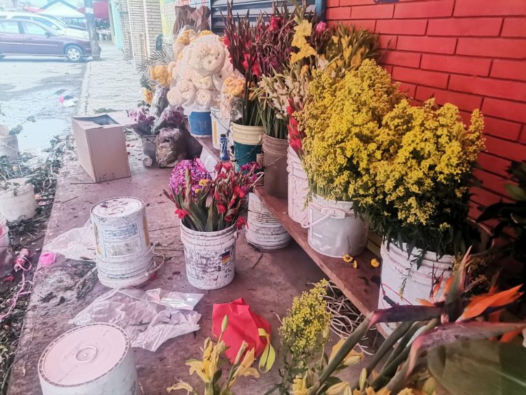 Cae venta de flores naturales, alegan poca afluencia en panteones Cae venta de flores naturales, alegan poca afluencia en panteones
